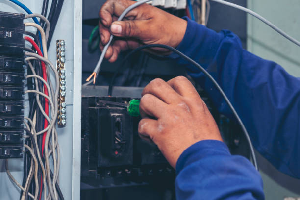 Best Electrical Repair Services  in Elk Rapids, MI